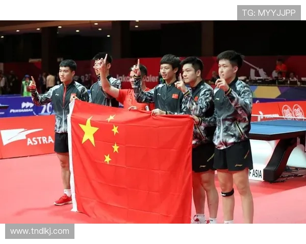 乒乓球运动的魅力与发展：从基础技巧到世界赛事的全面解析