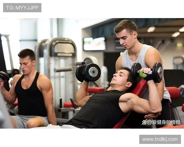 打造强健体魄的健身计划 从基础训练到进阶技巧全方位指南 打造强健体魄的健身计划 从基础训练到进阶技巧全方位指南