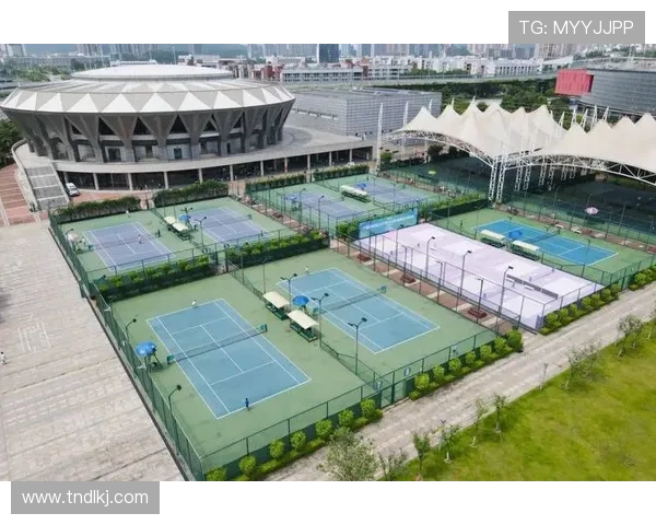 以网球为纽带探寻竞技精神与青春活力交织的绿茵故事 以网球为纽带探寻竞技精神与青春活力交织的绿茵故事