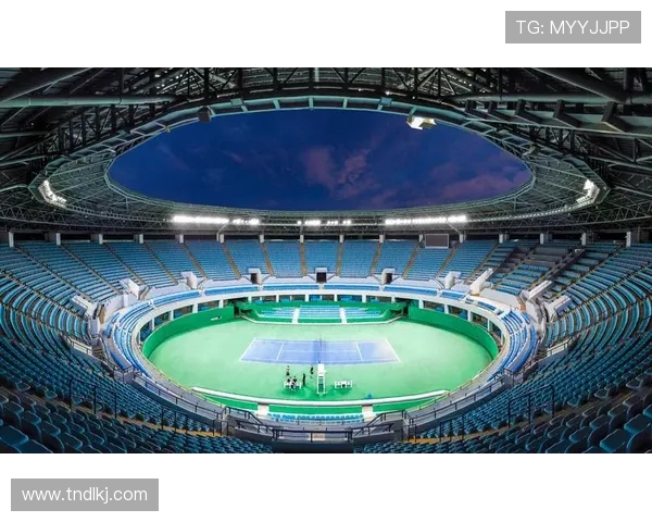 从球场激情到心理较量全面解析网球运动的技战术与心态艺术 从球场激情到心理较量全面解析网球运动的技战术与心态艺术