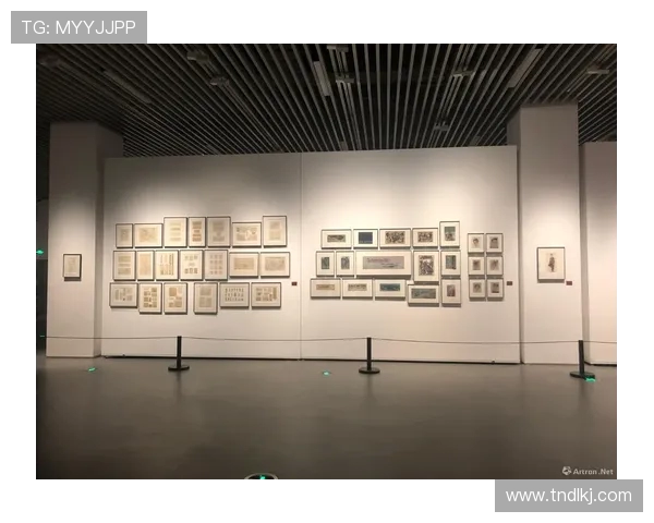 乒乓球传奇李秀英的成长与奋斗之路深度对话