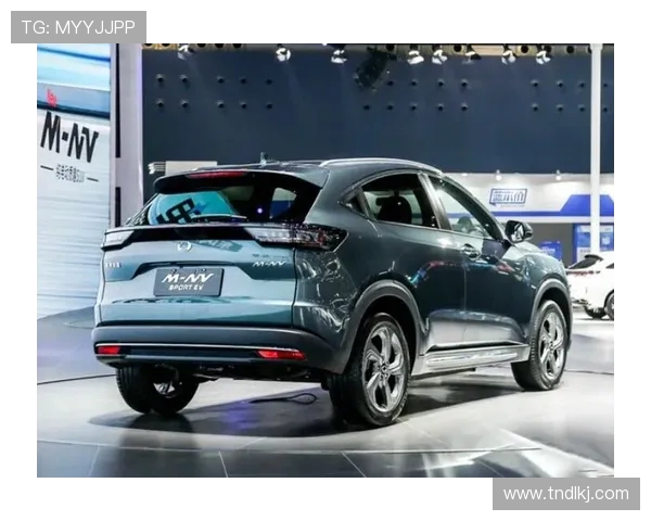 广州乒乓球队在联合会杯中的耐力表现分析与点评