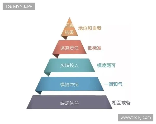 深入探讨北京羽毛球队团队协作表现的关键因素与数据分析结果