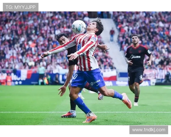 全球体坛最新赛事盘点聚焦精彩体育比分与竞技瞬间