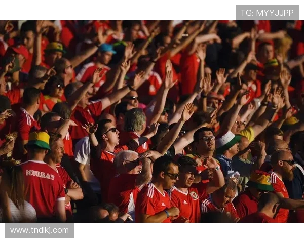 奥兰多城与冲击的激烈对决展现足球魅力与团队精神